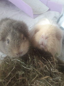 Photo de galerie - Jodie et Tallulah