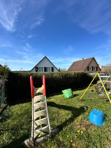 Photo de galerie - Taille de haie 