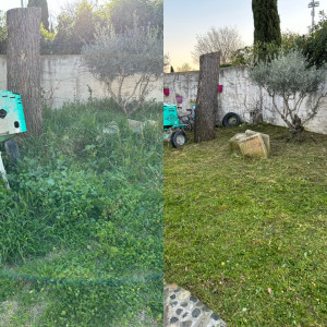 Photo de galerie - Rafraîchissement d’un jardin 