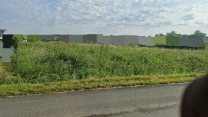 Photo de galerie - Débroussailler avec micro tracteur et broyeur 
