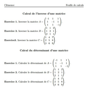 Photo de galerie - Feuille de calcul (en math, algèbre) en guise de DM pour mon ancienne élève Clémence qui préparait le cursur Architecte (ENSAL) - ingénieure.
