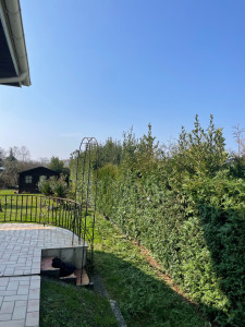 Photo de galerie - Taille de haies et d'arbustes