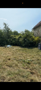 Photo de galerie - Tonte de pelouse - Débroussaillage