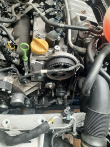 Photo de galerie - Courroie de distribution + pompe a eau alfa romeo giulietta 