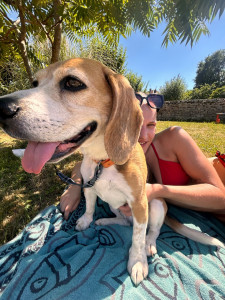 Photo de galerie - Garde chien