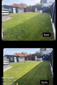 Photo de galerie - Tonte de gazon 