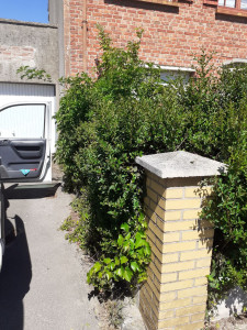 Photo de galerie - Avant 