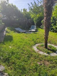 Photo de galerie - Entretien d'un jardin