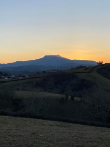Photo de galerie - Aide à domicile