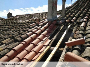 Photo de galerie - Changement de tuiles réparation de fuite toiture.