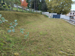 Photo de galerie - Tonte de pelouse 