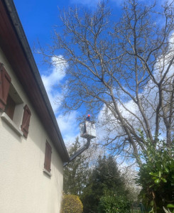 Photo de galerie - Après