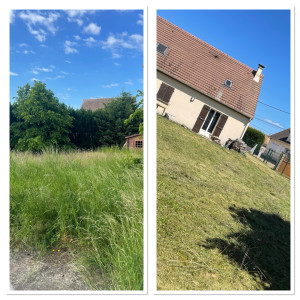 Photo de galerie - Débroussaillage d’un terrain 