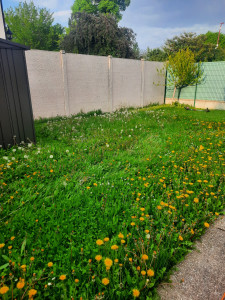 Photo de galerie - Antes y después 