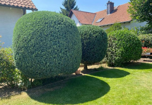 Photo de galerie - ...