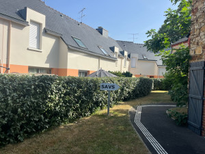 Photo de galerie - Taille de haie, tonte de pelouse après intervention