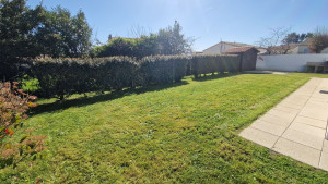 Photo de galerie - Tonte et taille début de saison.