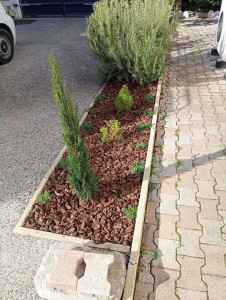 Photo de galerie - Réalisation d'un massif de conifères et de plantes vivaces 