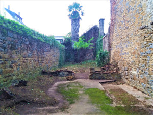 Photo de galerie - Tonte de pelouse - Débroussaillage