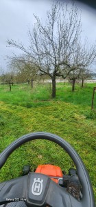 Photo de galerie - Tonte 