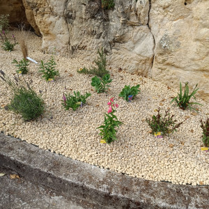 Photo de galerie - Rocaille 