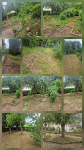 Photo de galerie - Voici un chantier une tonte complète avec nettoyage des marche en plus.
prestations accompli avec succès.
merci de votre confiance. 