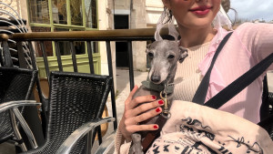 Photo de galerie - Visites sur 2 semaine de Palto