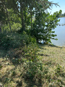 Photo de galerie - Débroussaillage autour d’un lac avec un disque 