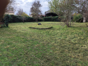 Photo de galerie - Tonte de pelouse - Débroussaillage