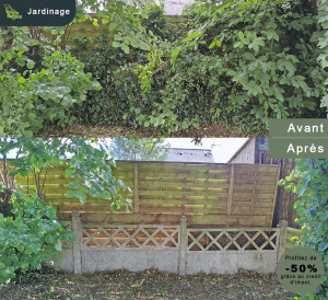 Photo de galerie - Désherbeur mécanique