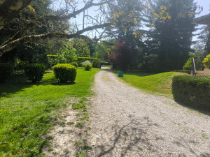 Photo de galerie - Entretien massif
