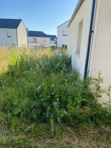 Photo de galerie - Remise au propre du jardin 