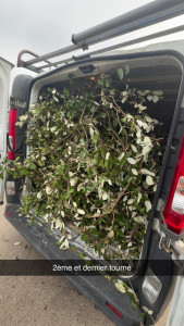 Photo de galerie - Évacuation déchets - Gravats