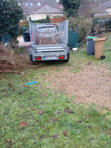 Photo de galerie - Tonte de pelouse - Débroussaillage