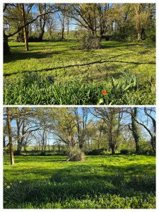 Photo de galerie - Jardinier