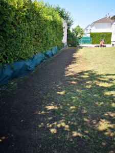 Photo de galerie - Raccordement à la fibre
