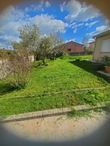 Photo de galerie - Tonte de pelouse - Débroussaillage