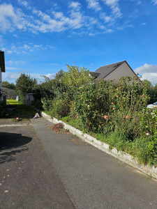 Photo de galerie - Paysagiste - Aménagement du jardin