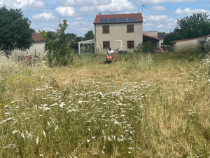 Photo de galerie - Tonte de pelouse - Débroussaillage