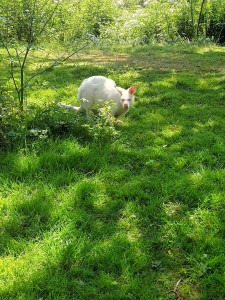 Photo de galerie - Détente 