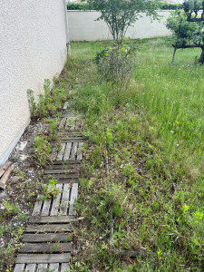 Photo de galerie - Tonte de pelouse - Débroussaillage