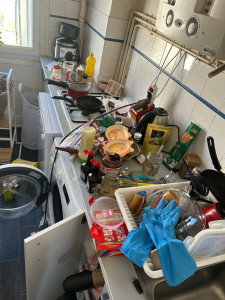 Photo de galerie - Ménage