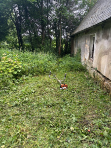 Photo de galerie - Tonte de pelouse - Débroussaillage