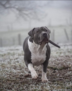 Photo de galerie - ?