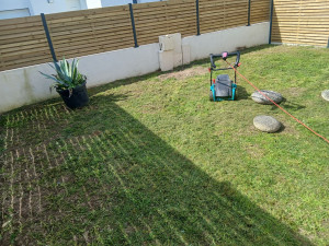 Photo de galerie - Taillage de pelouse