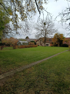 Photo de galerie - Entretien régulier de votre jardin 