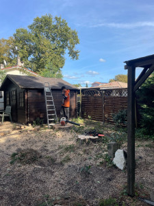 Photo de galerie - Elagage et coupe d'arbres