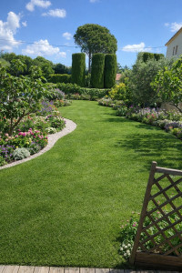 Photo de galerie - Tonte de la pelouse et taille des arbres 