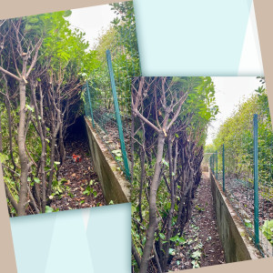 Photo de galerie - Paysagiste - Aménagement du jardin