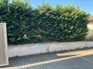 Photo de galerie - Avant
